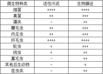 1656494565184175.jpg 1.jpg