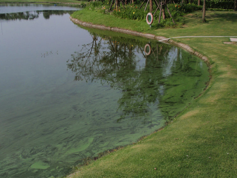 1685346707211318.png 浑浊.png
