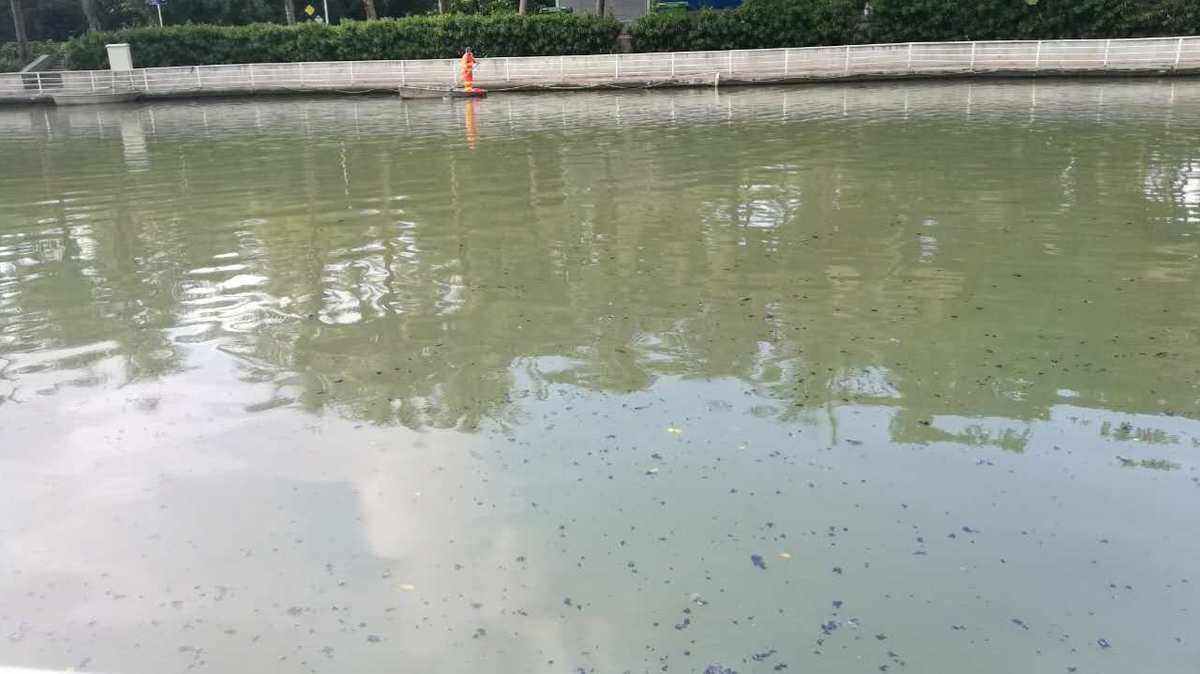 1690166624233861.jpeg 悬浮物 (1).jpeg