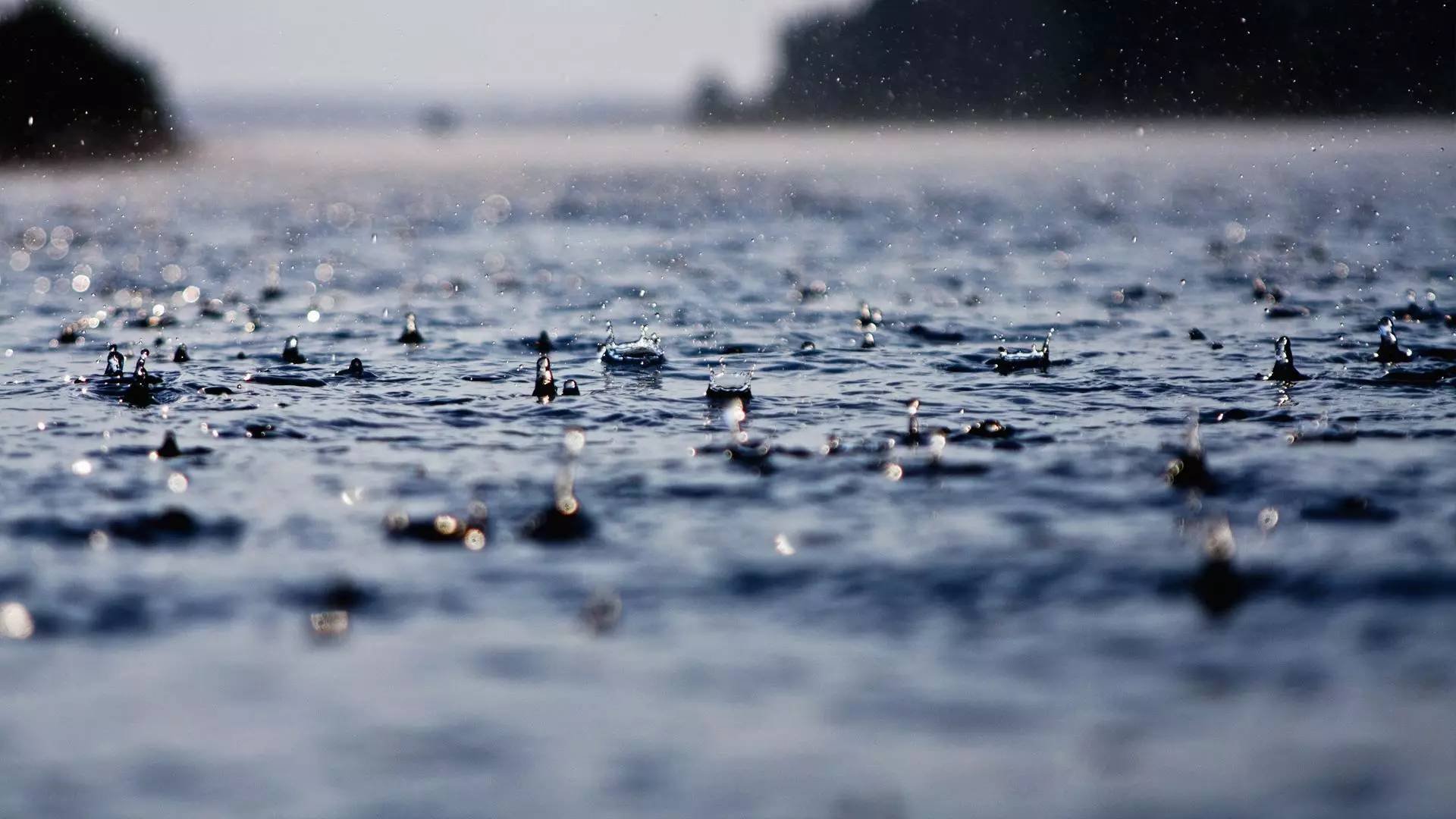 1699516596494019.jpg 1699516596494019.jpg