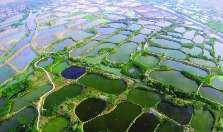 1762328042565905.jpg 桑基鱼塘.jpg