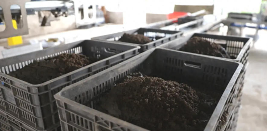 1762391843175151.jpg 蚯蚓堆肥处理站.jpg