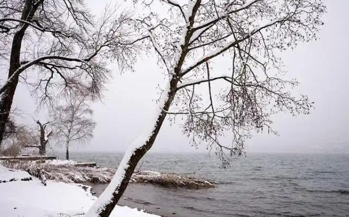 1767665733197568.jpg 下雪 .jpg