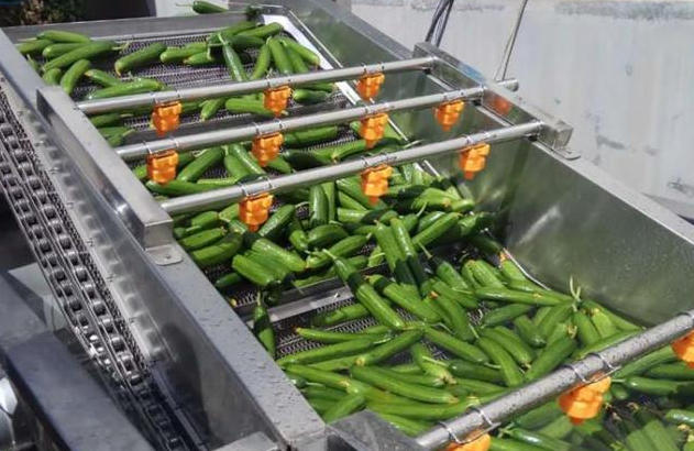 1768181966105409.jpg 果蔬清洗.jpg