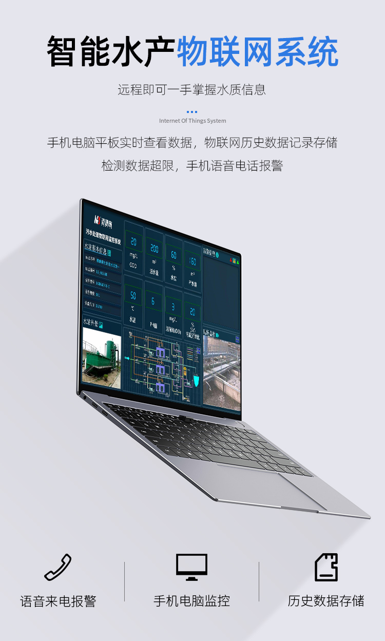 1769481928518066.jpg 在线水产 (12).jpg