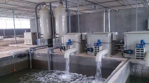 1769568431646662.jpeg 工业循环水.jpeg