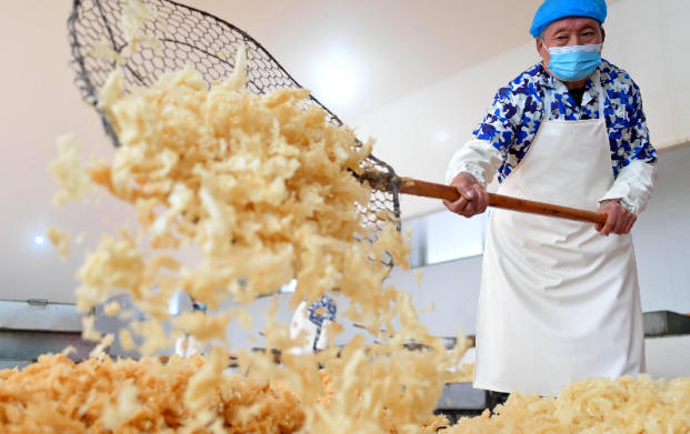 1772069778777360.jpg 制糖生产.jpg