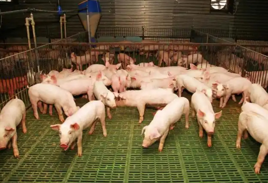 1773714638285292.jpg 1773714638285292.jpg