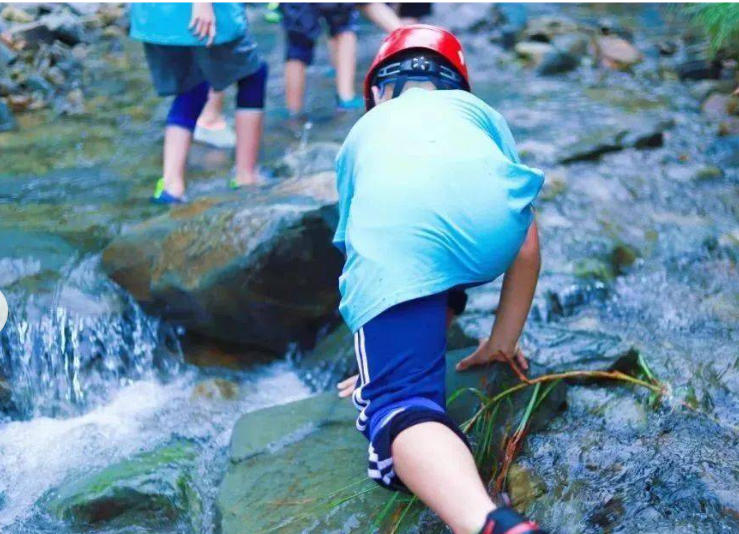 1774926792245643.jpg 户外研学.jpg